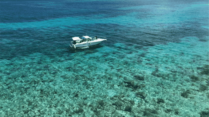 reef-pearl-island-nassau-bahamas