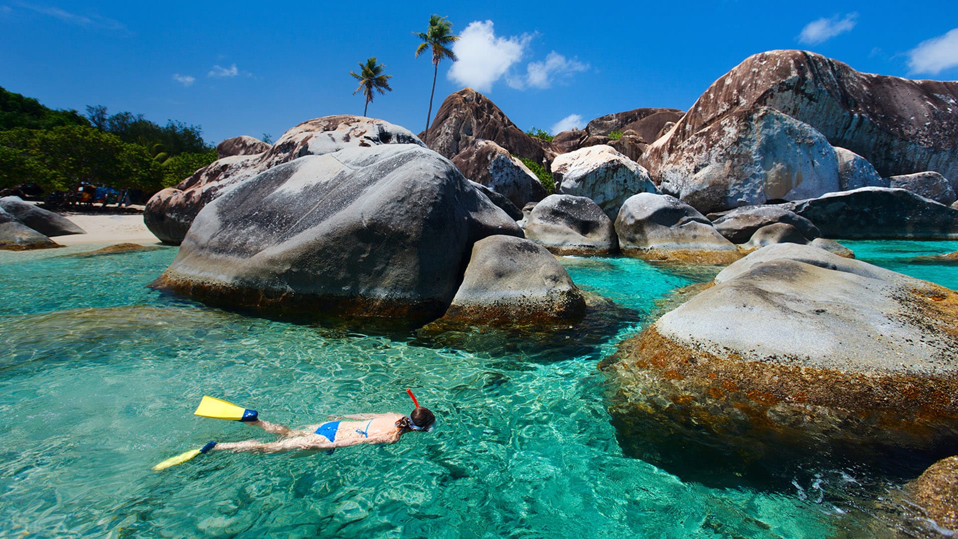 4 Exotic Snorkeling & Diving Destinations in the Caribbean