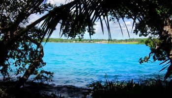 blue-lagoon-through-trees