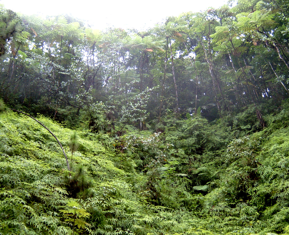 Mount Edmund Reserve.