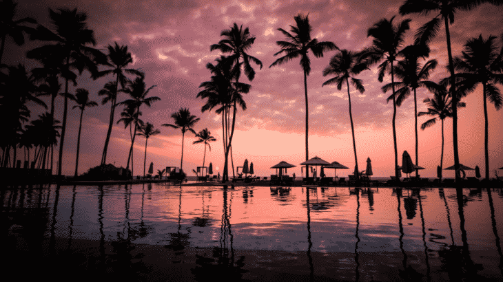 resort-pool-palm-trees-sunset