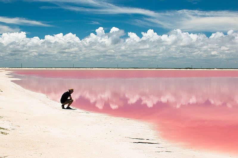 las-coloradas-mexico-pink-lake