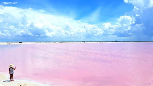 Las Coloradas Pink Lakes: What to Know Before You Visit