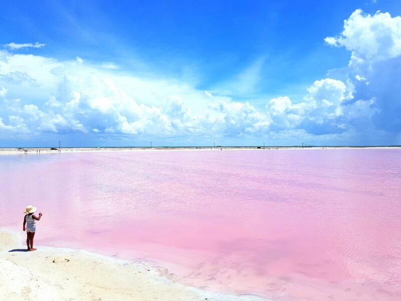 Las Coloradas Yucatan Mexico