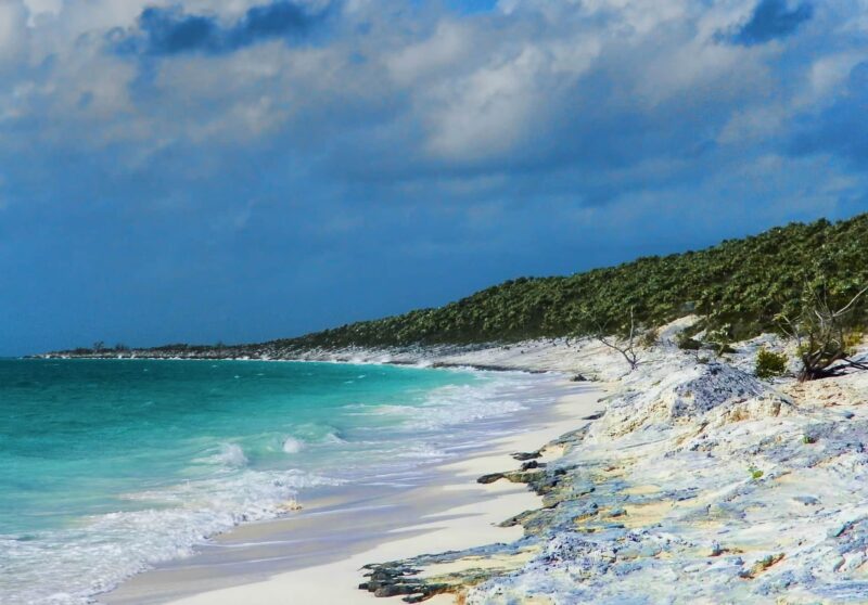 cat-island-bahamas-beach