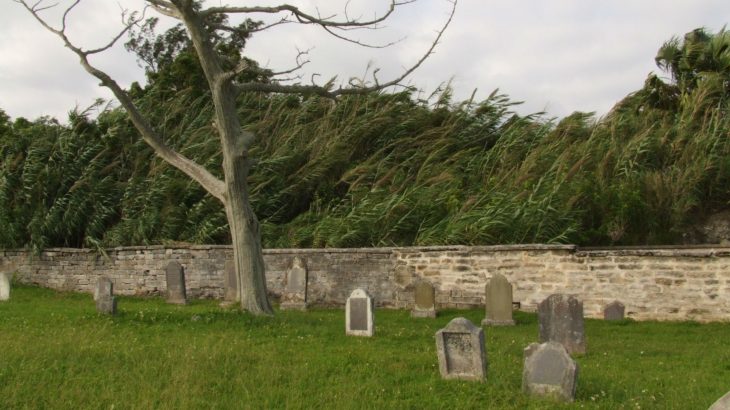 military-cemetery-bermuda