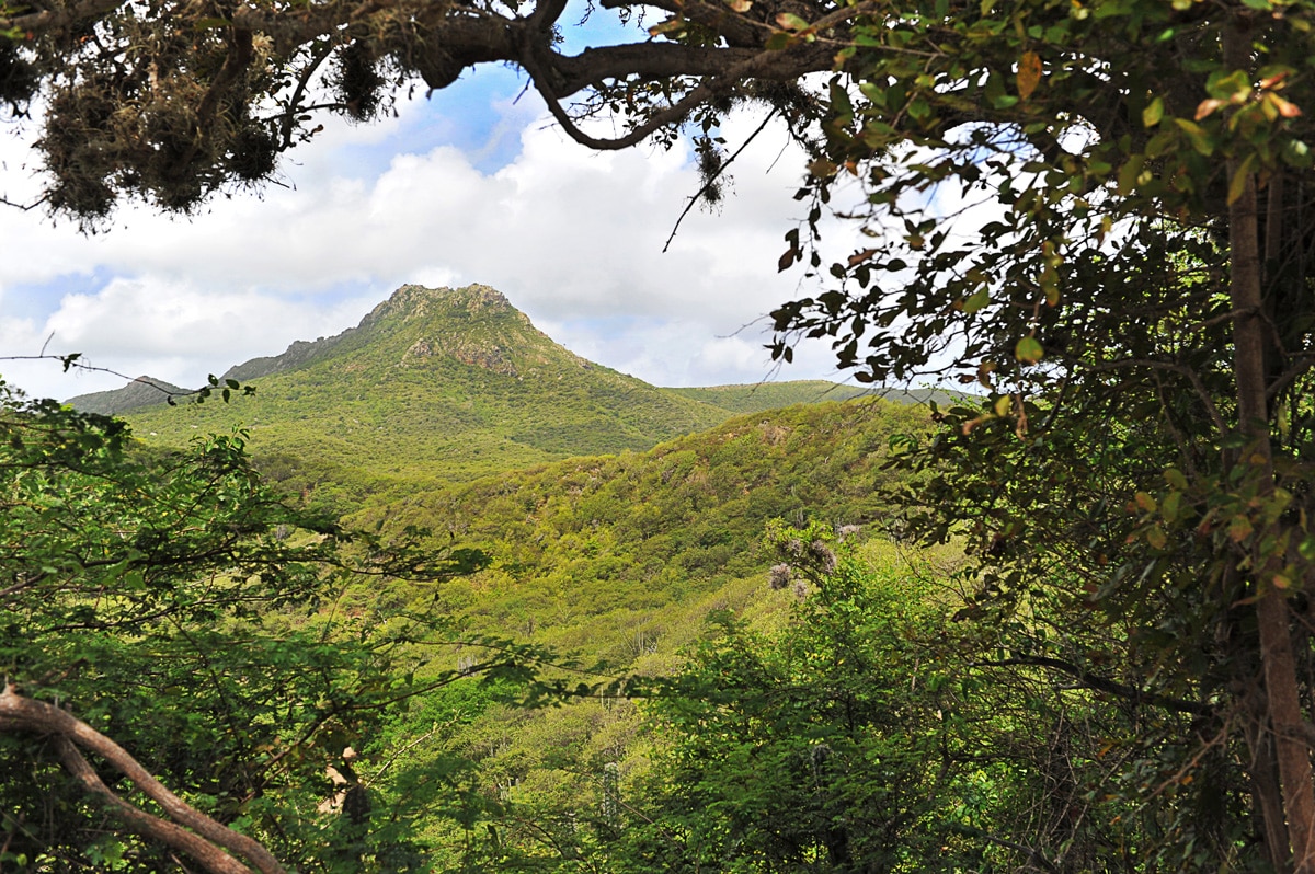 Mount-Christoffel-Curaçao