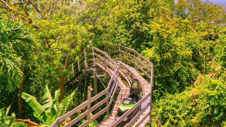Jamaican Bobsled track at attraction