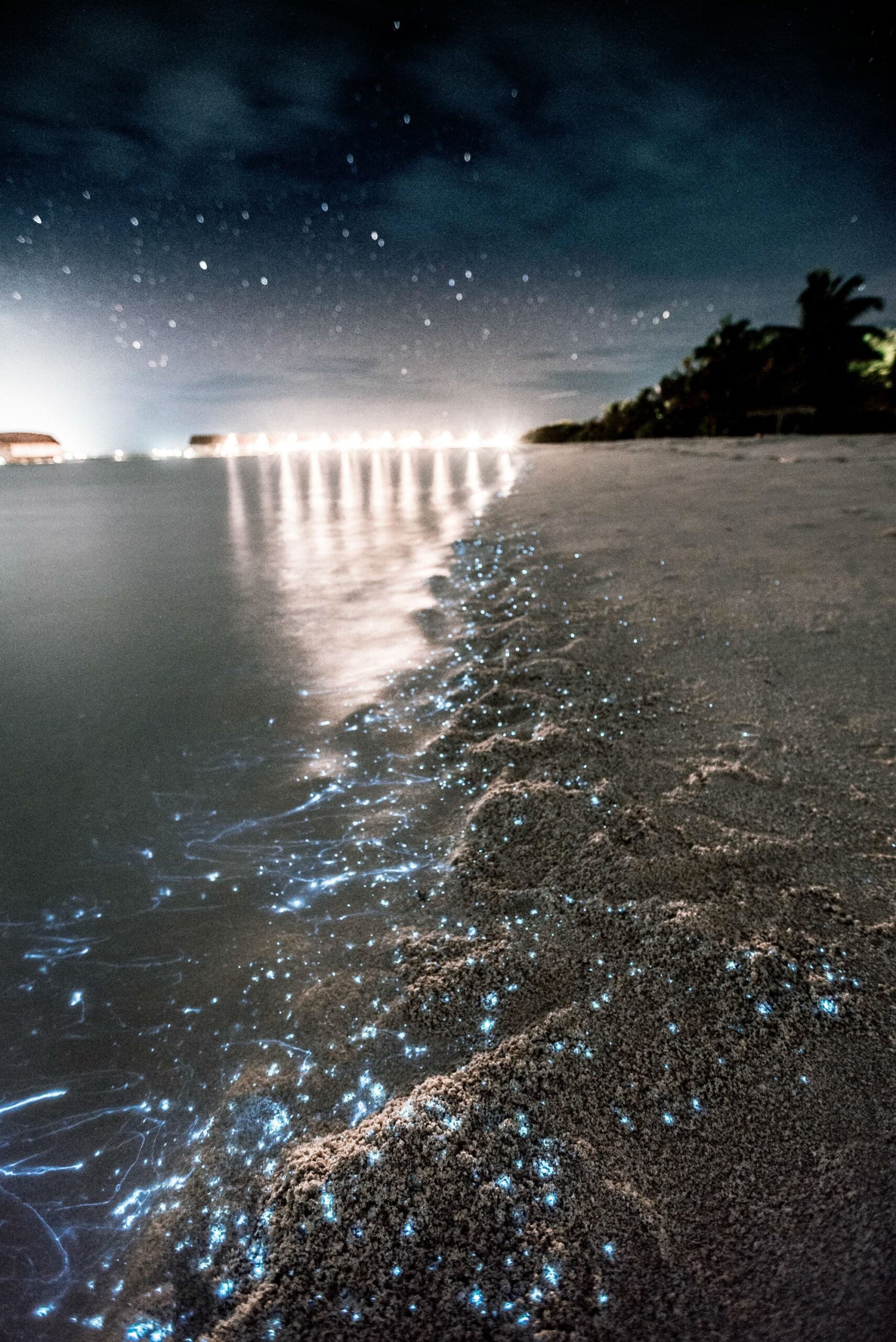 5 Bioluminescent Beaches in Mexico
