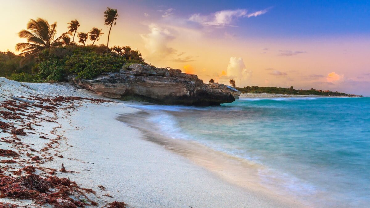 The Official Guide to Playa del Carmen's Best Beaches