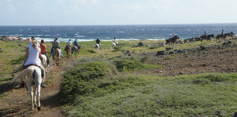 horseback-riding-beach-group-aruba