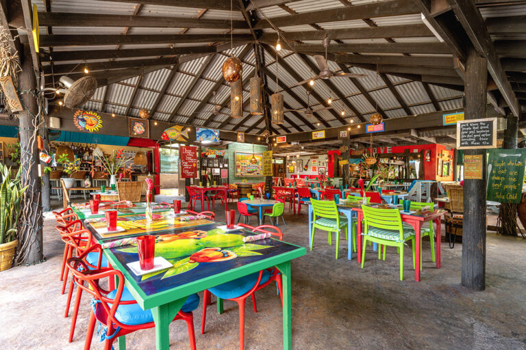 Miss T's kitchen patio.