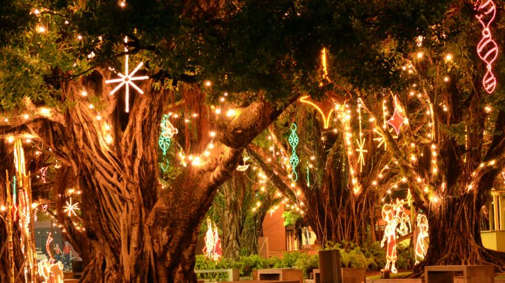 christmas-humacao-puerto-rico