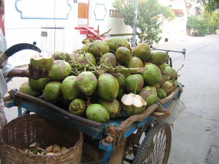 cart-fresh-green-coconuts