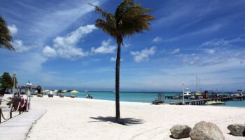 palm-beach-aruba