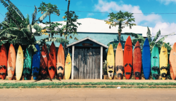 rainbow-surfboards-lined-up-shack