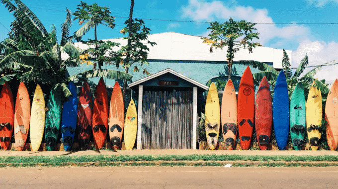 rainbow-surfboards-lined-up-shack