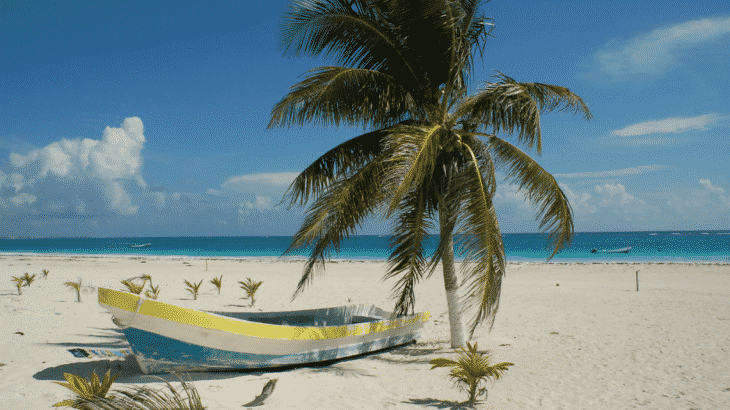 little-boat-on-sand-beach-palm-tree