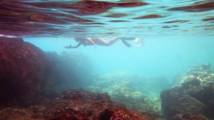 underwater-snorkeling-norman-island-bvi