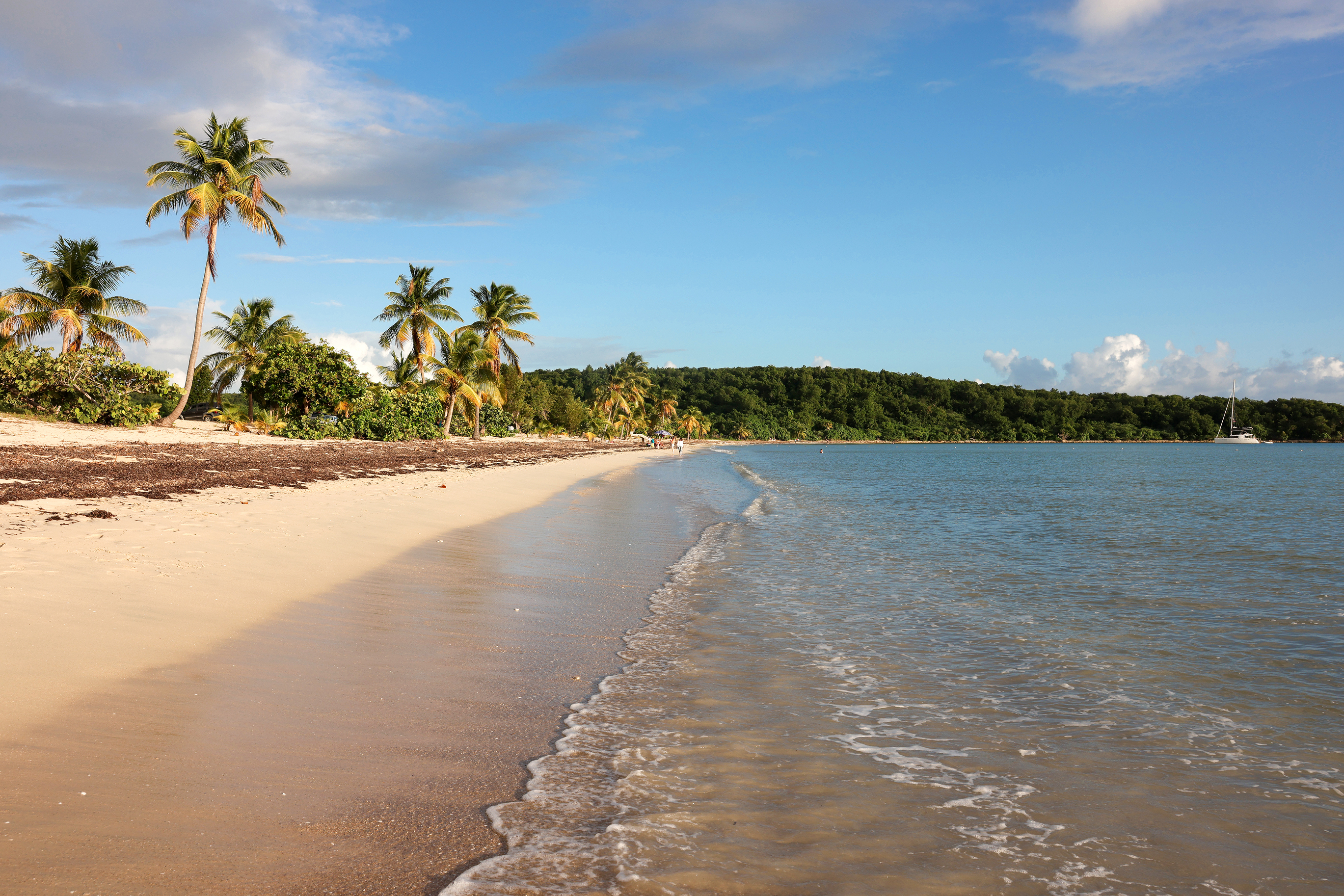 The tranquil water at Sun Bay Beach in Vieques, Puerto Rico, USA