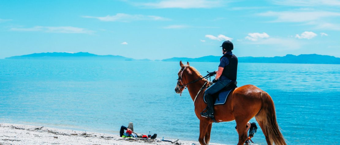 man-riding-horse-beach-blue-ocean-behind