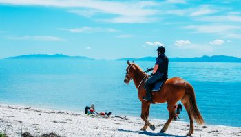 man-riding-horse-beach-blue-ocean-behind