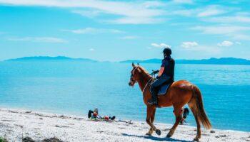 man-riding-horse-beach-blue-ocean-behind