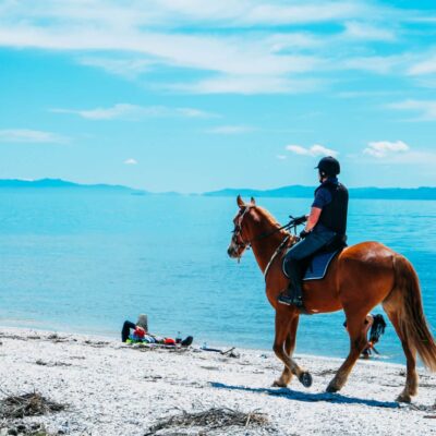 5 Best Horseback Riding Spots in the Caribbean