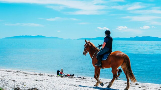 5 Best Horseback Riding Spots in the Caribbean