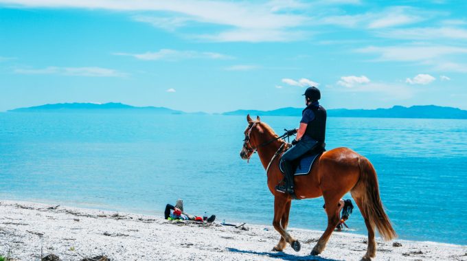 man-riding-horse-beach-blue-ocean-behind