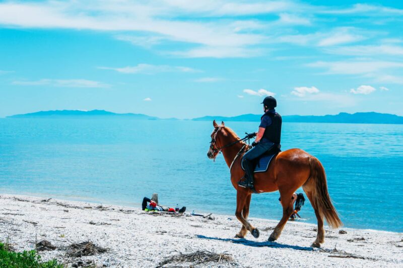 man-riding-horse-beach-blue-ocean-behind