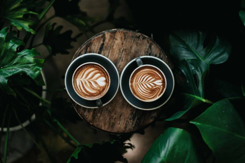 coffee-plant-design-plants