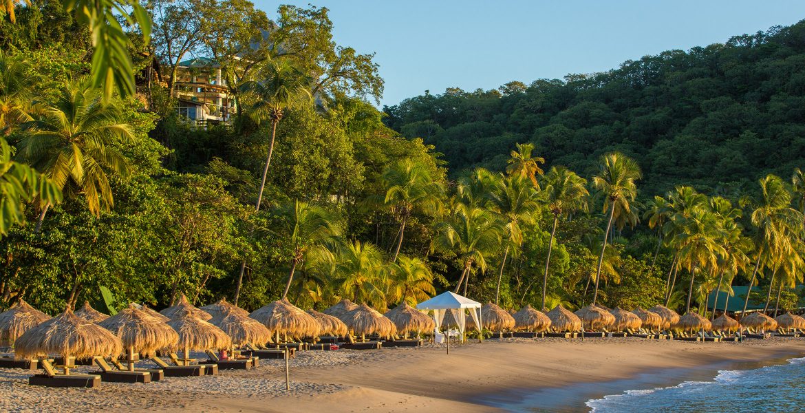 golden-sand-beach-huts-green-palm-trees