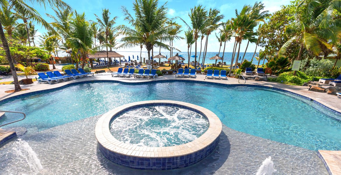 pool-circle-jacuzzi-green-palm-trees