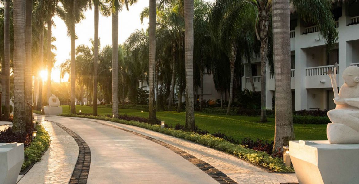 resort-pathway-palm-trees