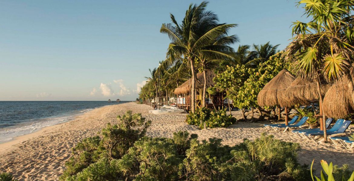 white-sand-beach-palm-trees