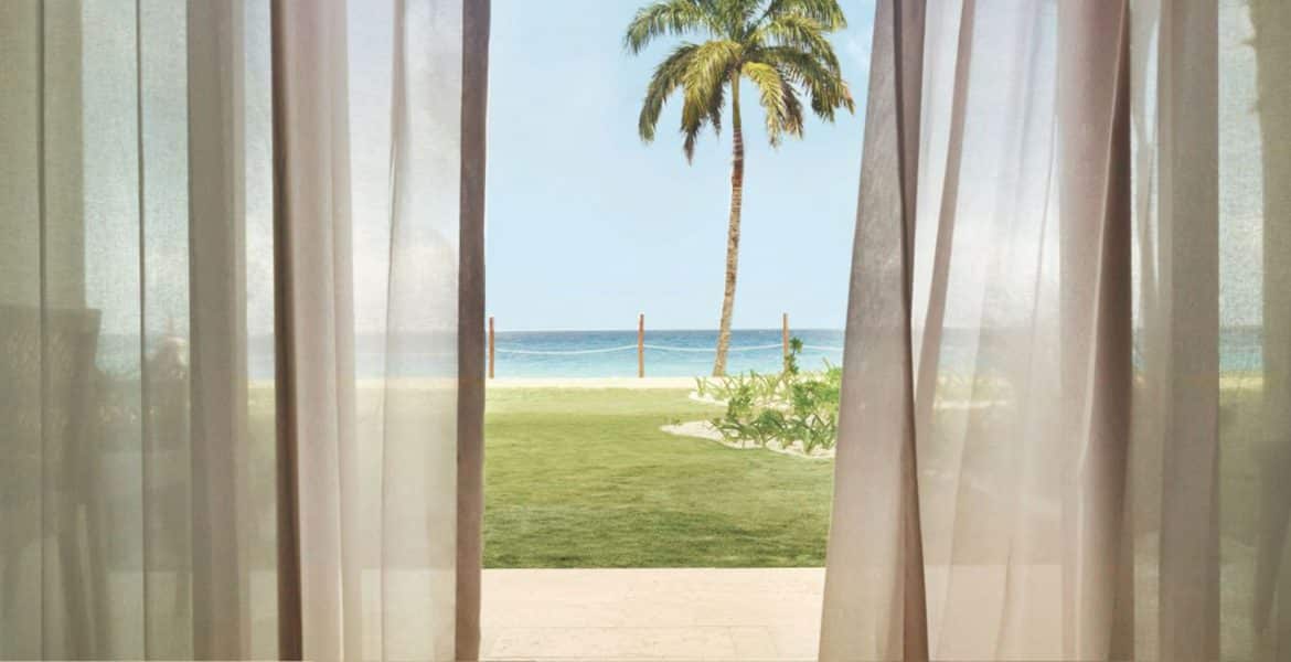 ocean-view-from-suite-sheer-curtains-palm-tree-blue-ocean