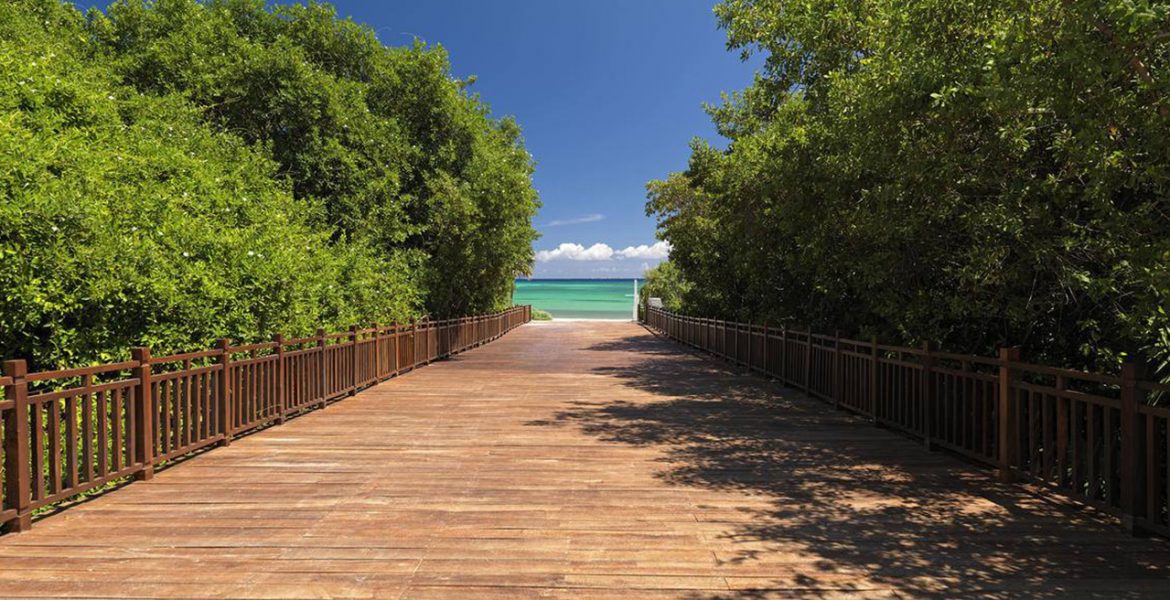 wooden-walkway-to-beach-green-foliage-on-sides