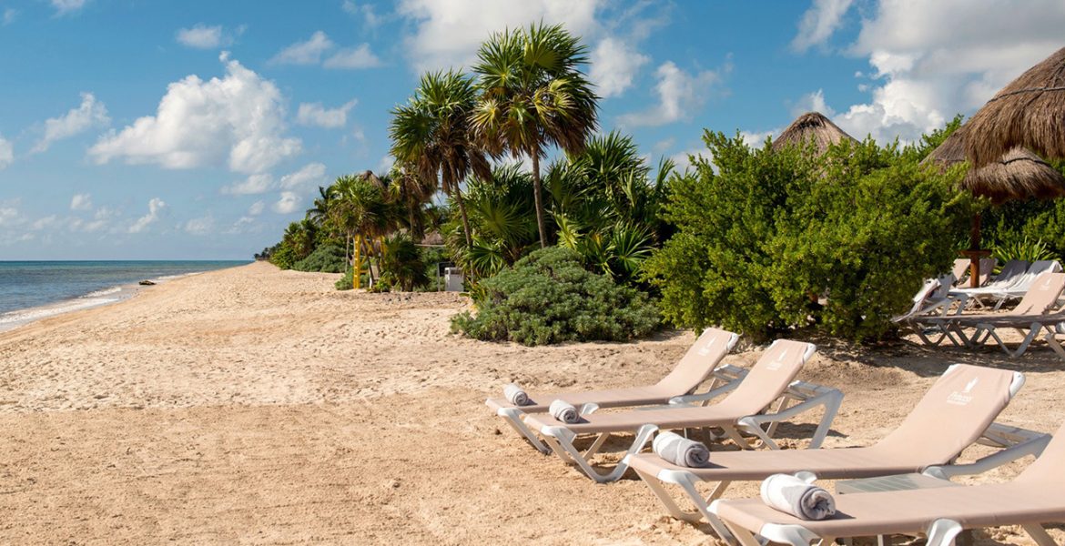 golden-sand-beach-loungers-palm-trees