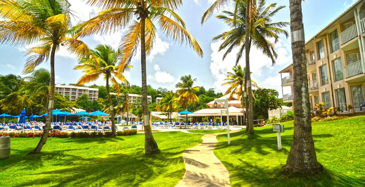 pathway-surrounded-green-grass-and-palm-trees