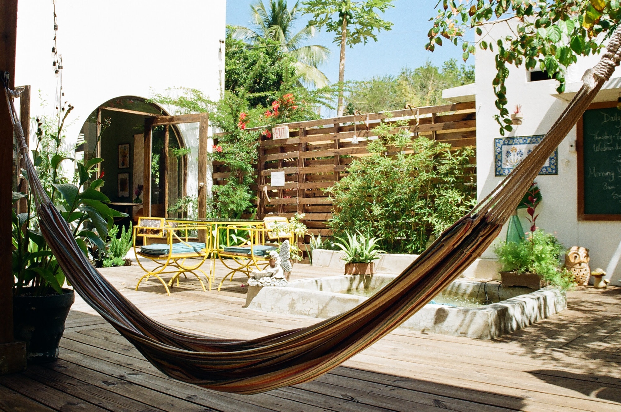 Hammock outside courtyard at the Dreamcatcher