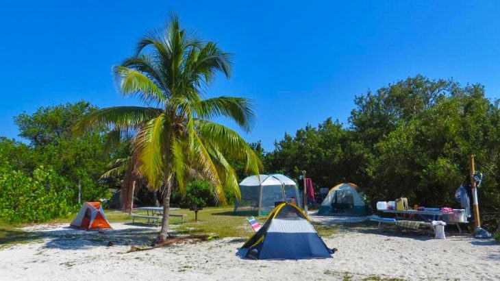 camp-site-on-beach-palm-tree-dry-tortugas-national-park