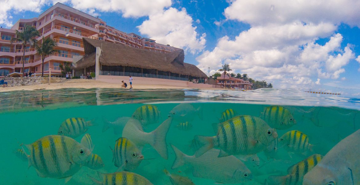 half-underwater-photo-hotel-tropical-fish