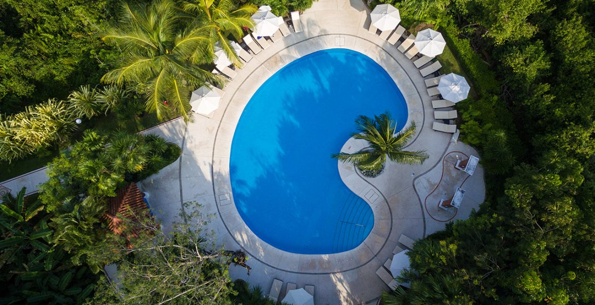 aerial-view-blue-bean-shaped-pool