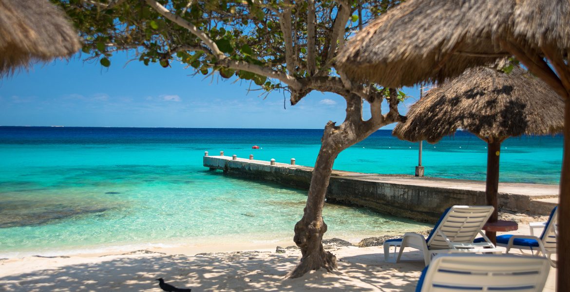 view-of-beach-from-under-shaded-tree-pier-turquoise-ocean