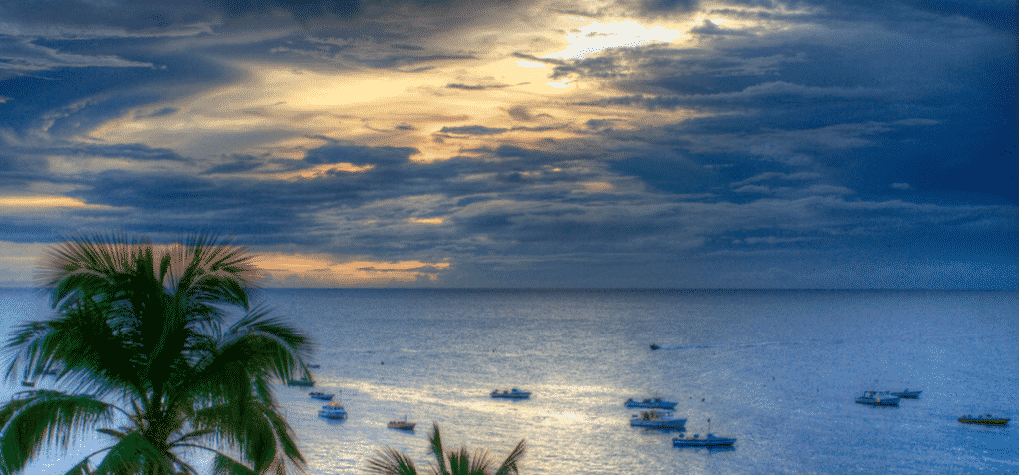 view-bay-with-boats-from-balcony-green-palm-tree-top