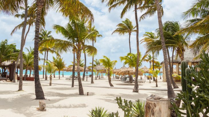 manchebo-beach-resort-beach-aruba