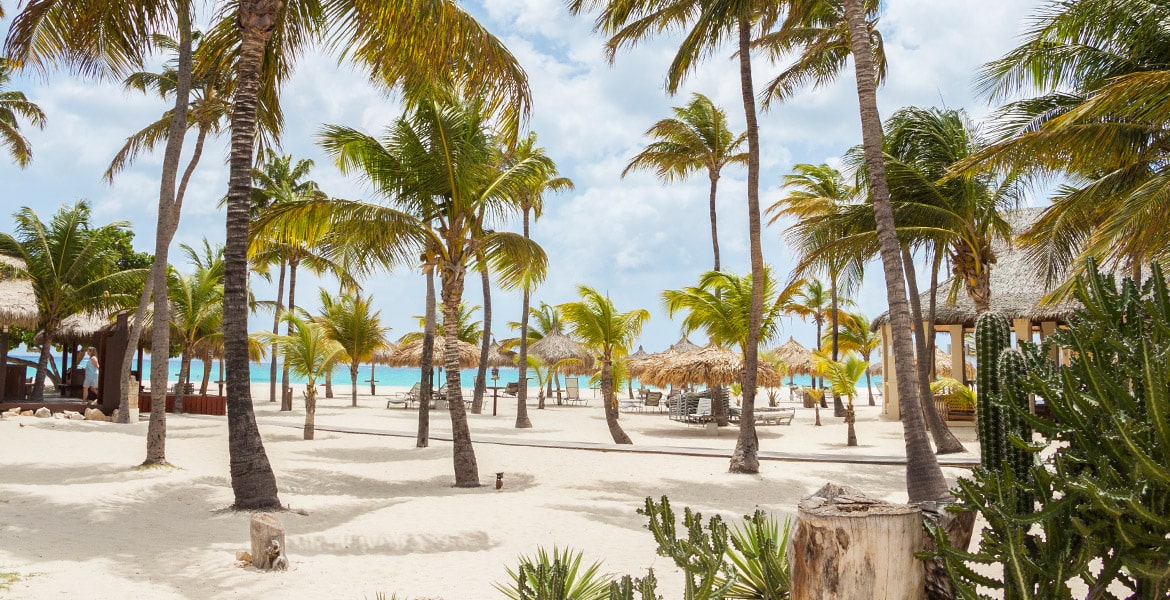 manchebo-beach-resort-beach-aruba