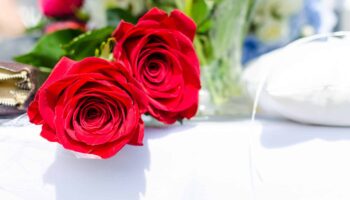 roses-laying-on-table