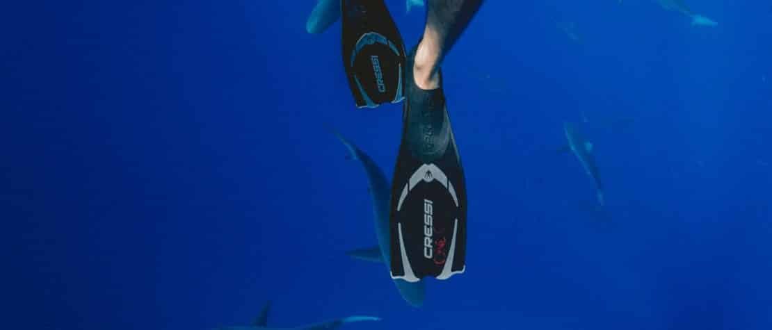 man-legs-fins-swimming-over-sharks-deep-blue-ocean